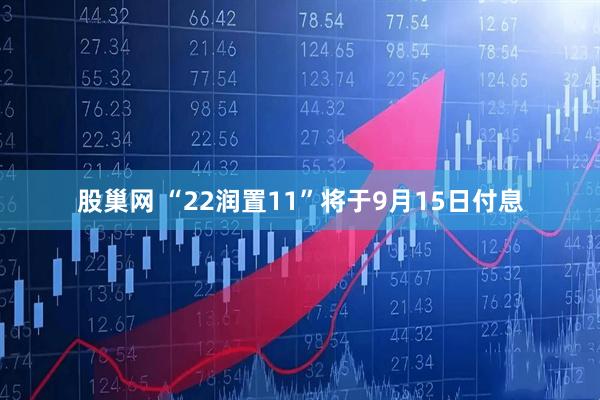 股巢网 “22润置11”将于9月15日付息