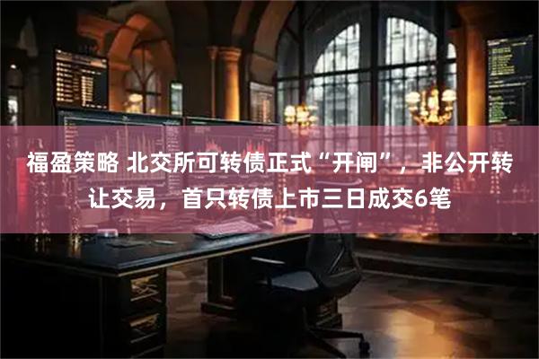 福盈策略 北交所可转债正式“开闸”，非公开转让交易，首只转债上市三日成交6笔