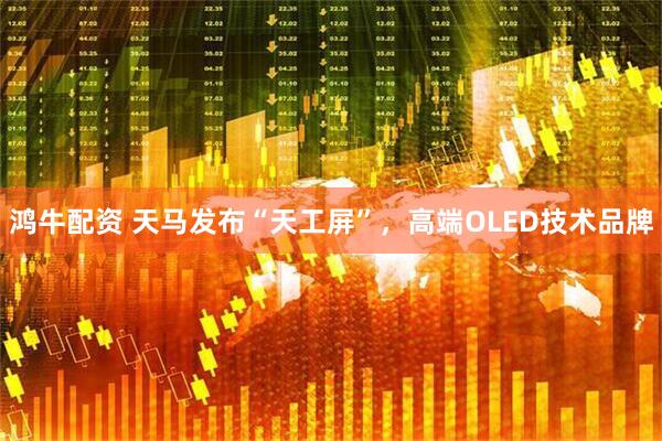 鸿牛配资 天马发布“天工屏”，高端OLED技术品牌