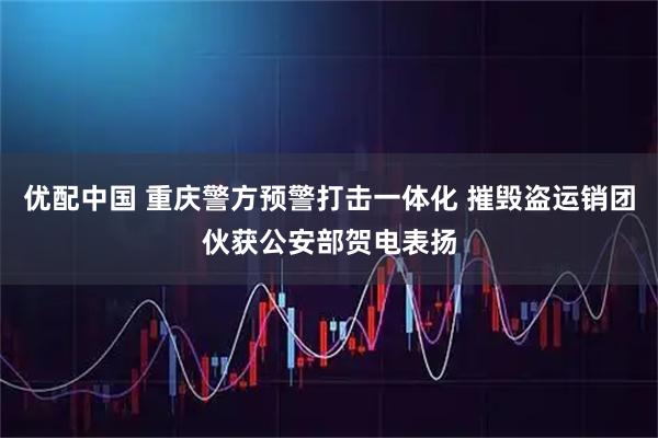 优配中国 重庆警方预警打击一体化 摧毁盗运销团伙获公安部贺电表扬