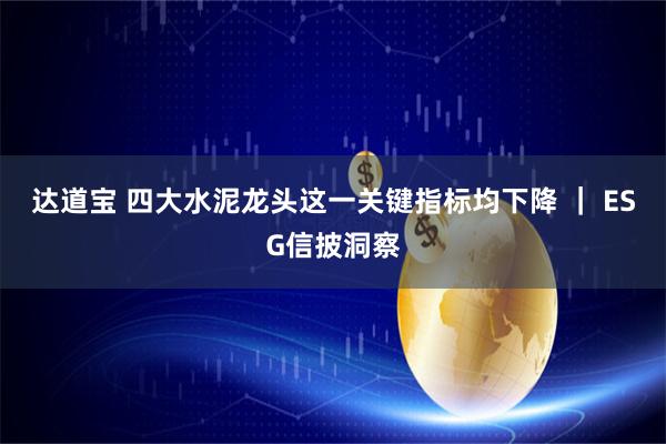 达道宝 四大水泥龙头这一关键指标均下降 ｜ ESG信披洞察