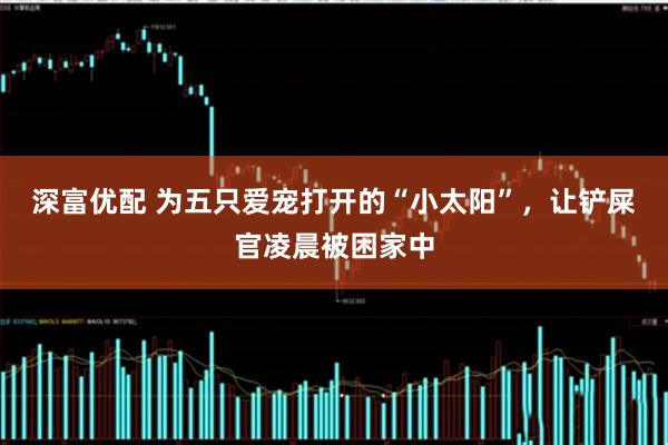 深富优配 为五只爱宠打开的“小太阳”，让铲屎官凌晨被困家中