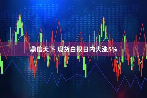 鼎信天下 现货白银日内大涨5%
