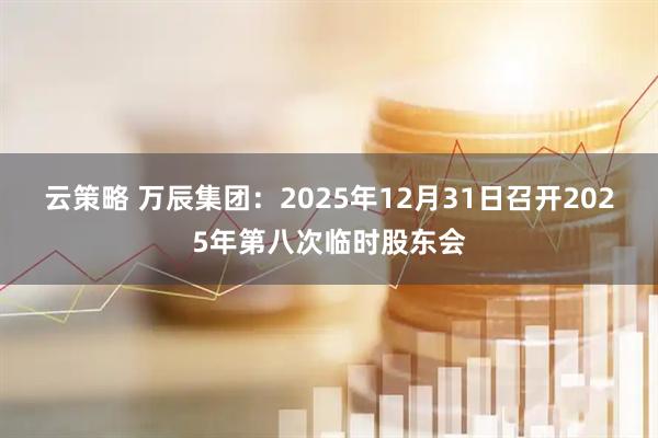 云策略 万辰集团：2025年12月31日召开2025年第八次临时股东会